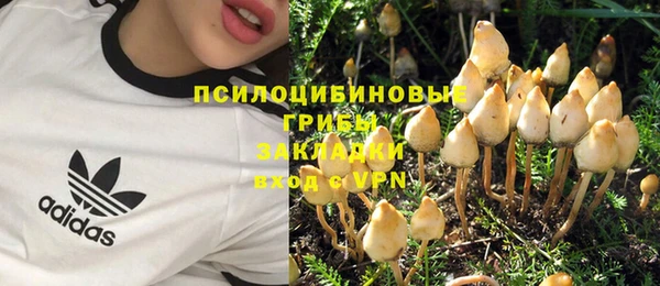 шишки Баксан