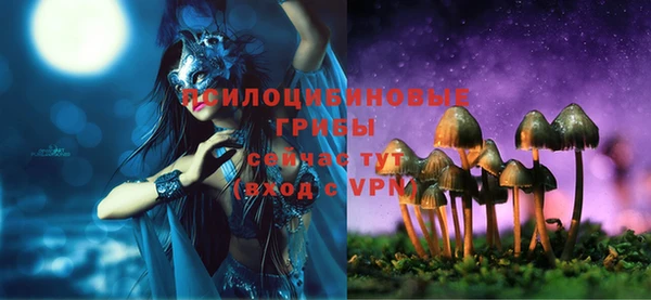 шишки Баксан