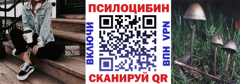 Псилоцибиновые грибы ЛСД  Тайга 
